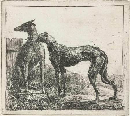 Simon de Vlieger--Two Greyhounds--1610